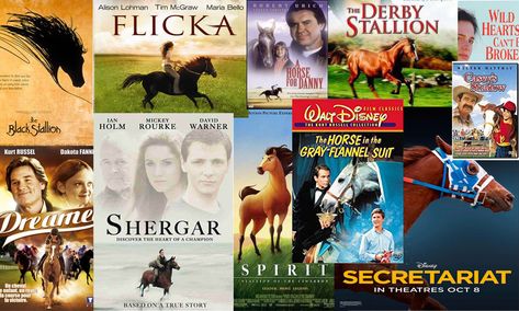 Top 20 Greatest Horse Movies of All Time | Your Horse Farm #ramm #horse #stalls #yourhorsefarm #blog #horses #equine #farm #barn #horsemovies Breaking A Horse, Horse Movies, Black Stallion, Equestrian Lifestyle, Hobby Horse, Farm Girl, Horse Farms, Classic Disney, Horse Pictures