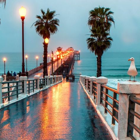 Pier Santa Monica, Oceanside Pier, San Diego Travel, Home Beach, Marmaris, California Dreamin', San Diego County, San Diego California, California Travel