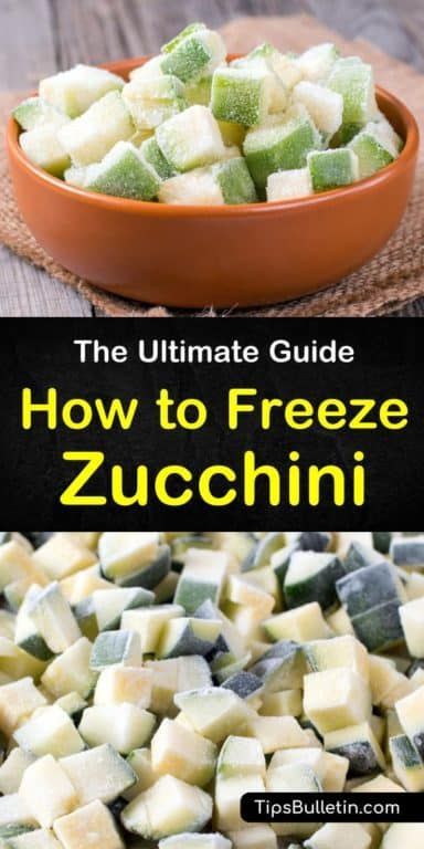 Can You Freeze Zucchini, Freezing Produce, How To Freeze Zucchini, Freezing Squash, Zucchini Health Benefits, Freezing Zucchini, Freezing Vegetables, Vegeterian Recipes, Zucchini Squash