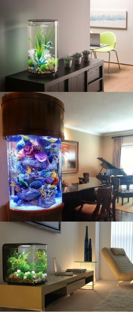 L'aquarium est un must have pour une décoration interieur design et moderne. Voici quelques modèles d'aquariums très originaux #aquarium #design #déco Bathroom Aquarium, Wall Aquarium Design, Modern Aquarium, Wall Aquarium, Home Decor Bathroom, Home Aquarium, Aquarium Design, Crate Paper, Decor Bathroom