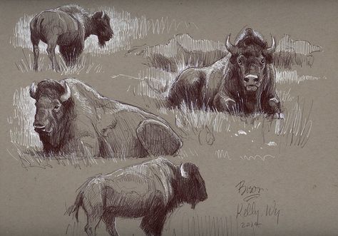 Brown Sketch, Animal Drawing Inspiration, Drawing From Life, Aaron Blaise, Buffalo Animal, Bison Art, Polar Bear Art, Art Charcoal, Animal Reference