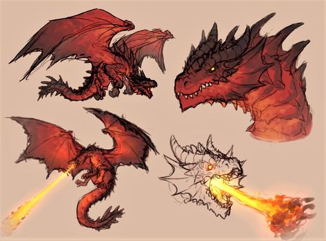 Dragon Poses, Dragon Anatomy, Dragon Drawings, Dragon Sketch, Cool Dragons, Fantasy Beasts, Monster Concept Art, Dragon Pictures, Fantasy Monster