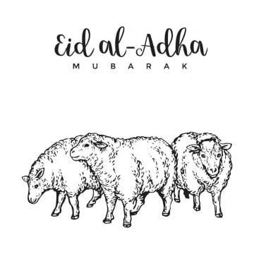 Kurbani Eid Mubarak, Eid Cow, Eid Illustration, Eid Gif, Graphic Designer Ideas, Greeting Card Sketches, Christian Desktop Wallpaper Aesthetic, Eid Poster, Christian Desktop Wallpaper