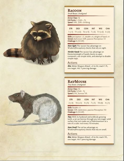 Fox Familiar Dnd, Dnd Homebrew Pets, D&d Pets, Dnd Raccoon, Dnd Familiar Ideas, Dnd Homebrew Creatures, Dnd Generator, Dnd Pets, Dnd Animals