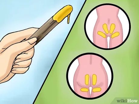 How to Wax Your Bikini Area at Home (with Pictures) - wikiHow Brazilian Wax At Home, Brazilian Wax Tips, Waxing Vs Shaving, Waxing Tips, Sugar Waxing, Brazilian Waxing, Waxing Kit, Body Hair Removal, Unwanted Hair Removal