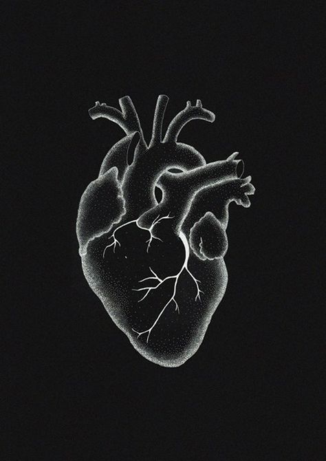 Heartache Painting, Real Heart Wallpaper, Bitmoji Classroom, Black Symbols, Android Wallpaper Black, Brooklyn Blonde, Heart Anatomy, Funny Iphone Wallpaper, Black And White Heart