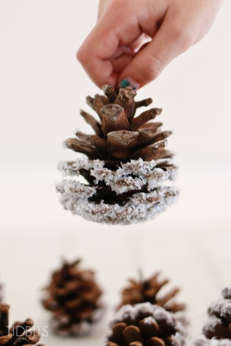 Pinecone Crafts Christmas, Diy Snow, Painted Pinecones, Pine Cone Art, Diy Pinecone, Winter Decorations Diy, Diy Christmas Tree Ornaments, Pine Cone Decorations, Cones Crafts