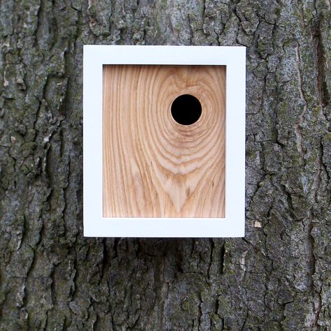 Modern Bird House, Birdhouse Diy, Bird Feeder Station, Modern Birdhouses, City Tree, Bird Tables, Bird Houses Ideas Diy, Bird House Feeder, Wood Birdhouses