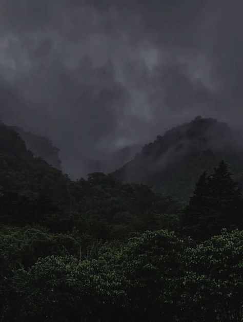 Dull Weather Aesthetic, Forest Aesthetic Wallpaper Ipad, Stormcore Aesthetic, Dark Naturalistic Aesthetic, Alisoncore Aesthetic, Dullcore Aesthetics, Dark Gloomy Aesthetic, Dark Green Nature, Forest Aesthetic Wallpaper