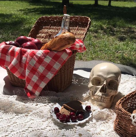 Dark Picnic Aesthetic, Vampire Picnic, Spooky Summer Aesthetic, Emo Picnic, Summerween Picnic, Graveyard Picnic, Cemetery Picnic, Summerween Aesthetic, Goth Picnic