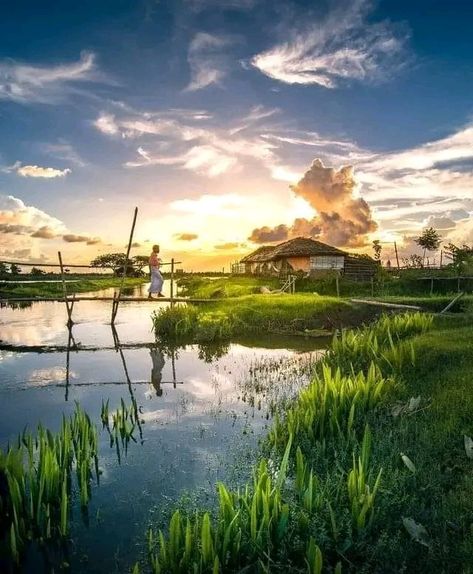 Village Bangladesh Village, Beautiful Moon Pictures, Street Photography People, Village Photography, Morning View, Blue Poster, Village Life, Beautiful Moon, Beautiful Scenery Nature