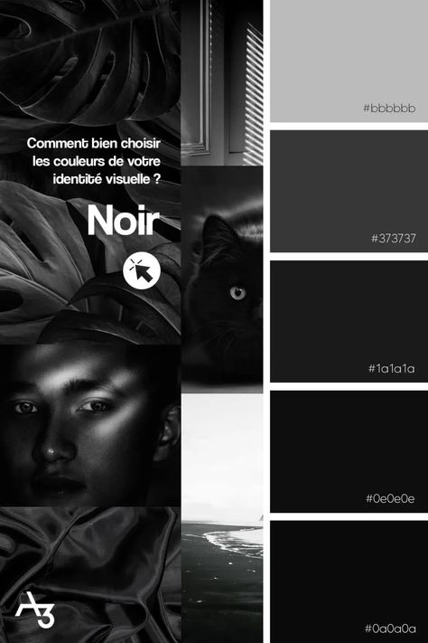 comment-bien-choisir-les-couleurs-de-son-identite-visuelle-noir Luxury Color Palette Branding Black, Black Colour Palette, Garfield Wallpaper, Black Palette, Noir Design, Noir Color, Color Design Inspiration, Black Color Palette, Window Display Design