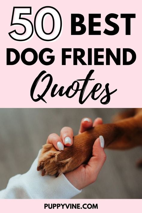 Soulmate Dog Quotes, Dogs Best Friend Quotes, Dog Family Quotes, Quotes About Dogs Being Best Friends, Dog Quotes Love Meaningful Short, Dog Friendship Quotes, Dog Best Friend Quotes, Dog Sayings Quotes, Short Dog Quotes