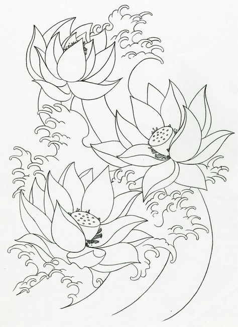 Lotus Flowers with water waves Lotus Water Tattoo, Asian Sketch, Lotus Flower Tattoo Japanese Style, Lotus Flower Water Tattoo, Lotus Flower Japanese Drawing, Lotus Flower Outline, Asian Lotus Flower Tattoo, Lotus Flower In Water Drawing, Realistic Flower Drawing