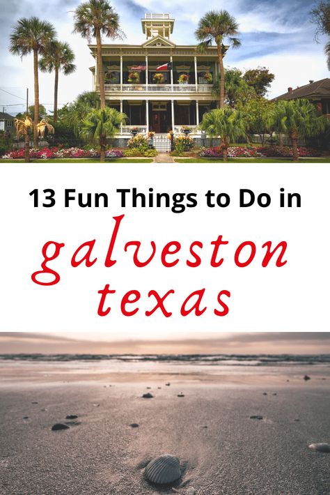 13 Fun Things to Do in Galveston Texas! Beaches, Shopping, Food & More Camping Texas, Texas Beach Vacation, Galveston Texas Vacation, Galveston Texas Beach, Galveston Seawall, Galveston Restaurants, Enchantment Of The Seas, Texas Vacation, Texas Trip