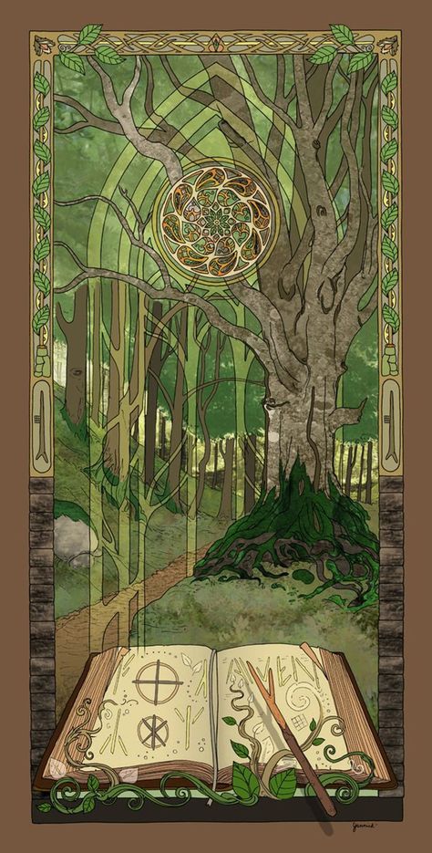 Celtic Druids, Sacred Tree, Pagan Art, Beech Tree, Celtic Mythology, Life Tree, Tree Tree, College Work, Celtic Tree