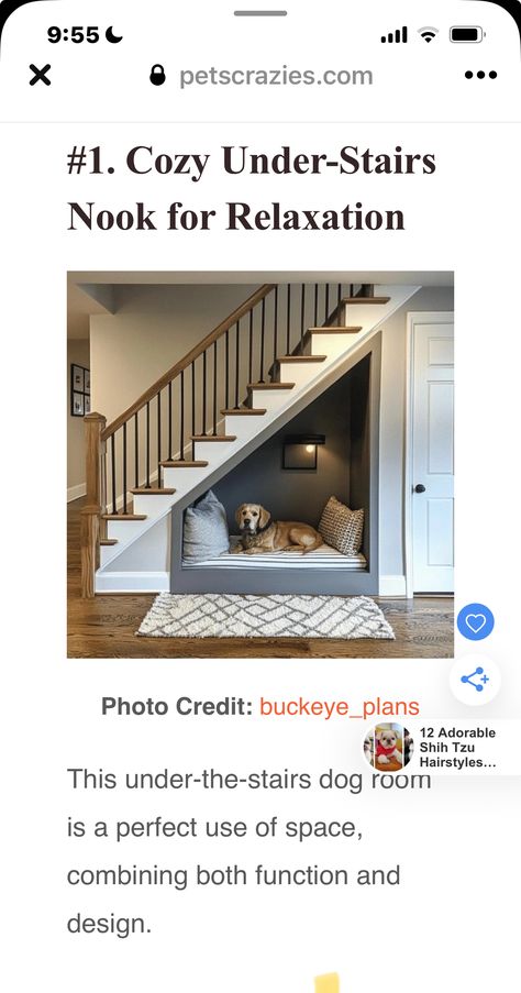 Doghouse Under Stairs, Under Stairs Ideas Dog, Understairs Dog Kennel Ideas, Dog Area Under Stairs, Dog Kennel Under Stairs, Under Stairs Nook, Stair Nook, Dog Lounge, Dog Area