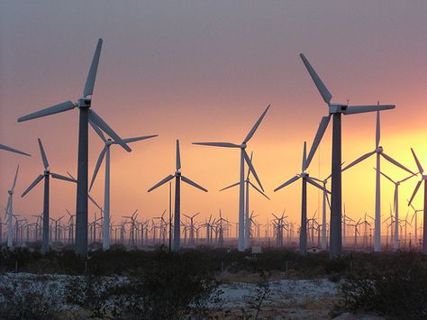 Wind farm...turbines College Search, Wind Farm, Wind Energy, Water Wheel, Wind Power, Industrial Buildings, Alternative Energy, Renewable Energy, Solar Energy