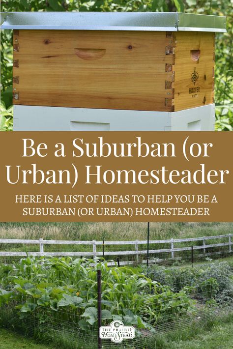 Working Garden, Urban Farmstead, Suburban Gardening, Micro Homestead, Urban Homesteading Ideas, Homestead Urban, Urban Homesteading Backyard Small Spaces, Self Sufficient Living For Beginners, Urban Homesteading For Beginners