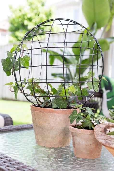 How to make a wire orb topiary Wire Topiary Frames Diy, Chicken Orb Diy, Topiary Diy, Topiaries, Chicken Wire, Diy Garden Projects, Hanging Garden, Craft Diy, Urban Garden