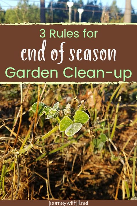 As you prepare your garden for winter, you know you need to begin your fall garden clean-up. These ideas will provide you tips for garden clean-up after the harvest so you can prepare your garden for next year! Garden Preparation, Fall Cleaning, Vertical Herb Garden, Pole Beans, Fall Vegetables, Fall Garden, Home Vegetable Garden, Garden Pests, Garden Soil