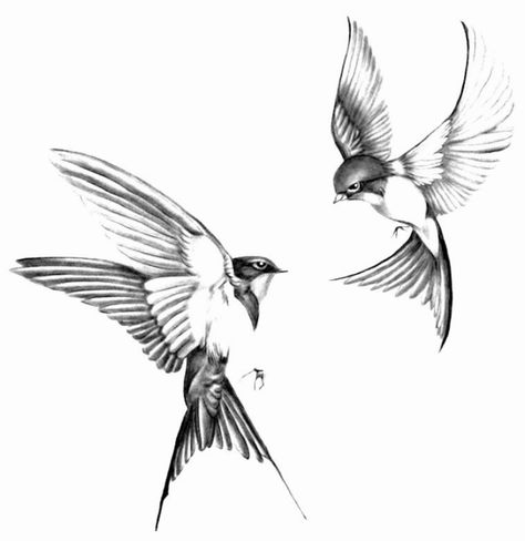 Sparrow Tattoo Men, Swallow Tattoo Men, Bird Hand Tattoo, Swallow Tattoos, Robin Bird Tattoos, Bird Shoulder Tattoos, Sparrow Tattoo Design, Swallow Tattoo Design, Swallow Bird Tattoos