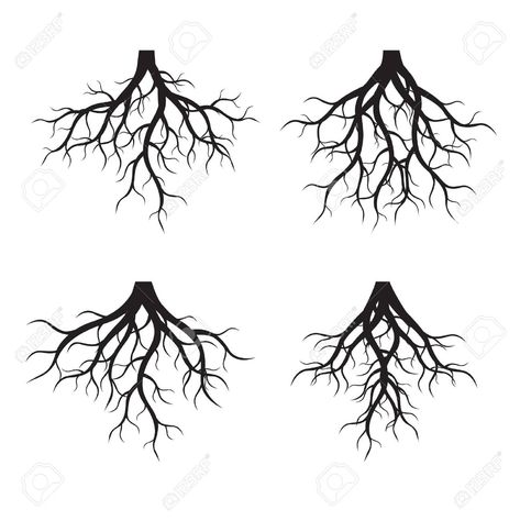 Roots Illustration, Roots Drawing, Montreal Tattoo, Tree Roots Tattoo, Roots Tattoo, Armband Tattoos, Tree Of Life Tattoo, Tattoo Style Drawings, Tree Logos