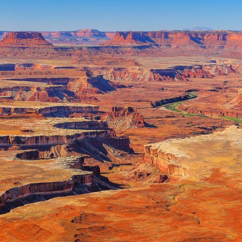 These are the best things to do in Canyonlands National Park, from scenic drives to excursions on the rivers that have chiseled the park’s stunning landscapes. Something Wilder, Big Landscape, Books 2024, Great Basin National Park, Scenic Places, Something Wild, River Trip, Christina Lauren, Hiking National Parks