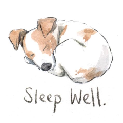 Cute Animal Sleeping Drawing, Sleep Dog Illustration, Sleeping Dog Painting, Sleep Art Cute, Sleeping Animal Drawing, Sleep Illustration Art, Sleeping Dog Tattoo, Dog Sleeping Illustration, Dog Sleeping Drawing