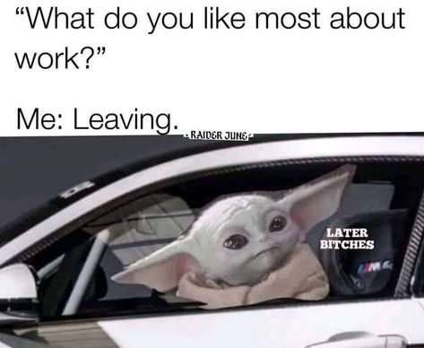 Funny-Relatable-Work-Memes-Jokes Job Memes, Hate Work, Yoda Funny, Workplace Humor, Office Life, Work Quotes Funny, Work Jokes, Office Humor, Hilarious Memes