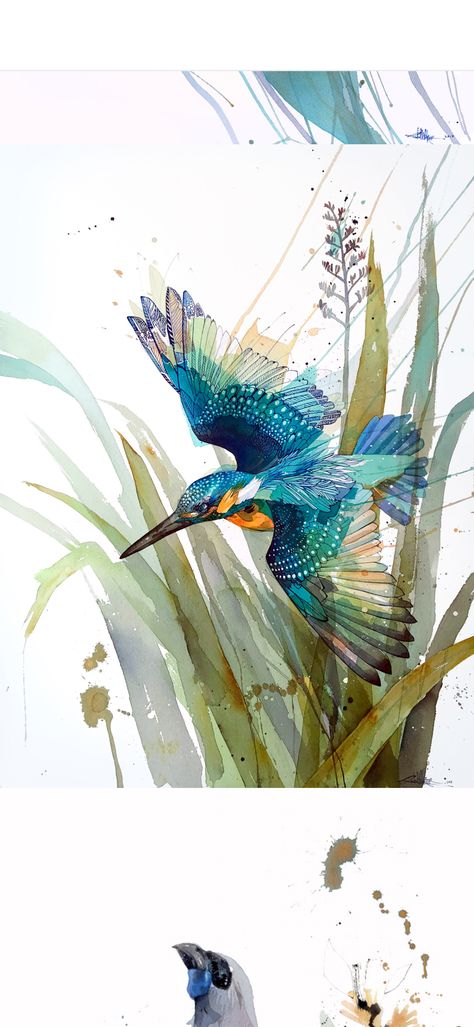 Official Rachel Walker Page. New Zealand watercolour, spray paint, pen and ink artist creating splashy celebrations of native and rare animals. Rachel Walker, White Clematis, Owl Books, Wine Label Design, Umbrella Designs, Commissioned Artwork, Blue Forest, Rare Animals, Bird Painting