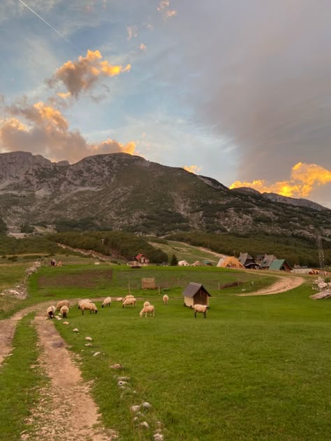 sheep graze in the meadow, against the backdrop of mountains and small village houses Mountain Village Aesthetic, Sheep Mountain, Cute Village, All Anime Characters, Sheep Farm, Cute Sheep, Mountain Village, Future Life, All Anime