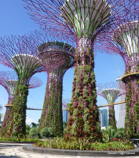 Super Tree @ Singapore Super Trees Singapore, Ideal Community, Fantasy Backgrounds, Prompts Ideas, Vertical Gardening, Fantasy Background, Rubber Tree, Roof Garden, Vertical Garden