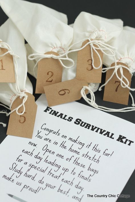 Finals Survival Kit -- sending this little care package to my college student today! Finals Survival Kit, Finals Care Package, Finals Week College, College Gift Baskets, College Survival Kit, College Finals, Survival Kit Gifts, College Survival, Survival Supplies