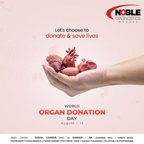 Let's choose to donate & save lives WORLD ORGAN DONATION DAY #noblediagnostics #noblelabskannur #noble #diagnosticcenter #DonateLife #OrganDonationDay #GiftOfLife #SaveLivesWithOrgans #TransplantMiracles #LifeSaver World Organ Donation Day Creative Ads, World Organ Donation Day, Body Contouring Surgery, Organ Donation Awareness, Best Plastic Surgeons, Donate Life, Organ Donor, Organ Donation, Airplane Window