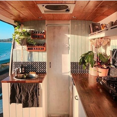 @t.rex_van on Instagram: “If you like plants and vans, come follow my other account where I feature a different van with plants every day! @vanlifeplants 🌿🚙 . .…” Expedition Happiness, Travel Camper, Van Conversion Interior, Van Ideas, Van Life Diy, Campervan Interior, Bus Life, Camper Van Conversion Diy, Van Home