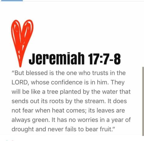 Jeremiah 17 7-8, Do Not Fear, Facebook Covers, Catholic Faith, Verses, Art Drawings, Drawings, Quick Saves, Art