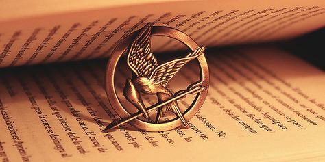 Mockingjay symbol!! Mockingjay Symbol, Mockingjay Pin, The Mockingjay, The Hunger Games, Mockingjay, The Hunger, Hunger Games