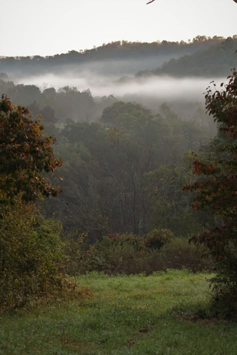 Foggy Appalachian Mountains, Holler Aesthetic, Appalachian Cottagecore, Appalachian Mountains Creepy, Dark Appalachian Aesthetic, Gothic Appalachia, Appalachian Mountains Aesthetic, Appalachia Photography, Appalachian Gothic Aesthetic