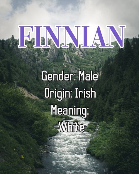 Finnian
Gender: Male
Origin: Irish
Meaning: White Names Meaning Ice, Hazel Name, Name With Meaning, Male Names, Names Meaning, Fantasy Names, Name Meaning, With Meaning, Baby Boy Names