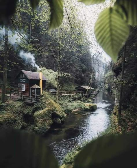 Dreamy cabin on an island - Imgur Houses Design, Forest Cabin, Beautiful Cabins, Farm Houses, Cottage In The Woods, Little Cabin, Small Cabin, Cabins And Cottages, Green Forest