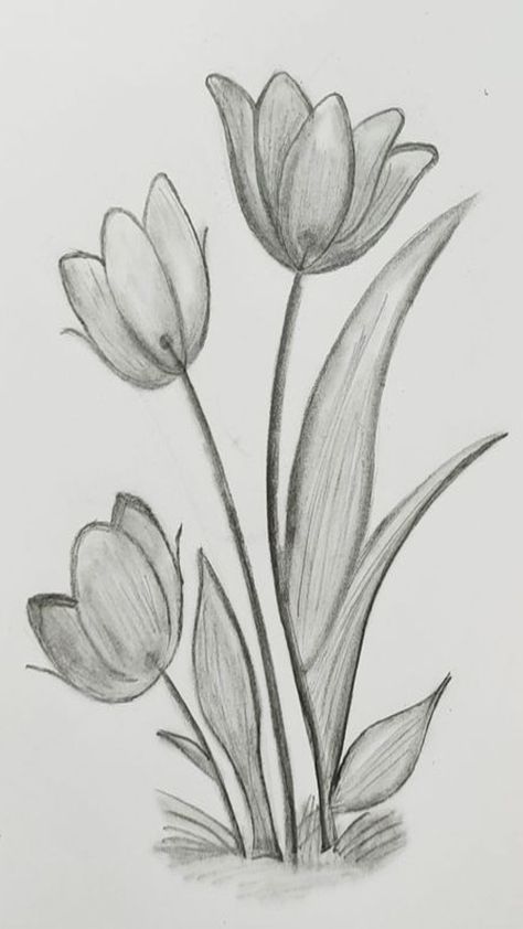 Drawing A Tulip, Skecting Ideas Simple, Flower Drawing Ideas Pencil, Flower Art Pencil, Aesthetic Doodling, Scatches Art Pencil Easy, Drawing Pics Easy, Flower Pencil Art, Art Sketsa