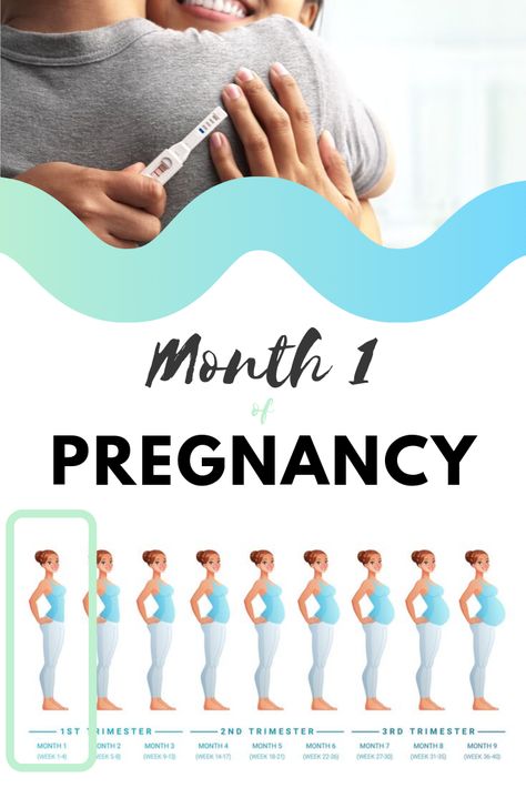 weeks of pregnancy / week by week pregnancy / week 1 pregnant / week 2 pregnant / week 3 pregnant / week 4 pregnant / month 1 pregnancy 13 Weeks Pregnant Belly, Pregnancy Month, 7 Weeks Pregnant, 17 Weeks Pregnant, 19 Weeks Pregnant, 23 Weeks Pregnant, 5 Weeks Pregnant, 15 Weeks Pregnant, 22 Weeks Pregnant