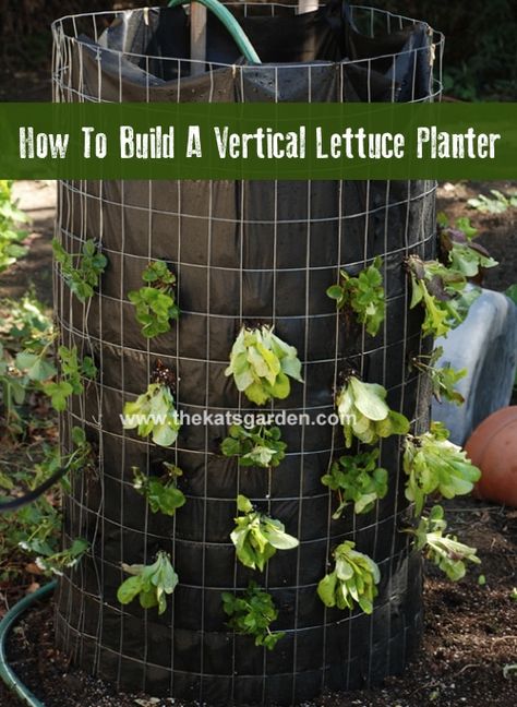 These DIY vertical lettuce towers are super easy to build and install in any yard. The tower is made up of 4 foot tall galvanized wire fencing lined with weed barrier fabric. The center of the tower is filled with bark that acts as a watering and feeding tube for the tower. The outer ring … Vertical Vegetable Gardens, Vertical Vegetable Garden, Vertical Herb Garden, Vertical Planter, Vertical Gardening, Plants Growing, Tower Garden, Veg Garden, Hydroponic Gardening