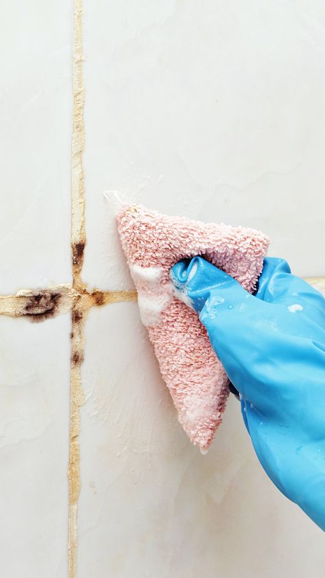 Cleaning your home isn’t just about keeping up appearances or reducing stress — some chores also promote health and safety. Lack of hygiene in your space can actually be harmful to your well-being. Take mold and mildew, for example. Mold Prevention, Cleaning Mold, Keeping Up Appearances, Types Of Mold, Mold Growth, Mold Remover, Organic Matter, Green Cleaning, Organizing Tips