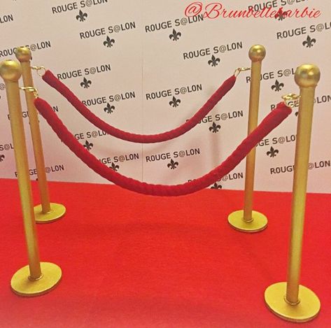 Diy Red Carpet Rope, Diy Red Carpet, Red Carpet Ropes, Hollywood Birthday Parties, Red Carpet Entrance, Hollywood Birthday, The Velvet Rope, Hollywood Party Theme, Hollywood Theme