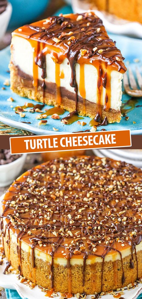 Cheesecake Turtle, Turtle Cheesecake Recipes, Turtle Cheesecake, Biscuits Graham, Easy Cheesecake Recipes, Easy Cheesecake, Cheesecake Desserts, Caramel Chocolate, Caramel Recipes