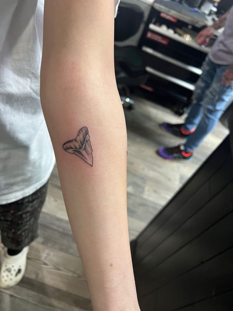 Shark Tooth Tattoos For Women, Small Shark Tooth Tattoo Simple, Shark Tattoo Aesthetic, Shark Tooth Tattoo Design, Shark Tattoo Arm, Fine Line Shark Tooth Tattoo, Tiger Shark Tooth Tattoo, Shark Arm Tattoos For Women, Hammerhead Shark Tooth Tattoo