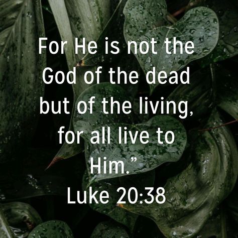 Luke 20:27-38, Luke 20:38, Luke 20, Because He Lives, Bible Ideas, Ayat Alkitab, Encouraging Quotes, Happy Birthday Messages, Birthday Messages