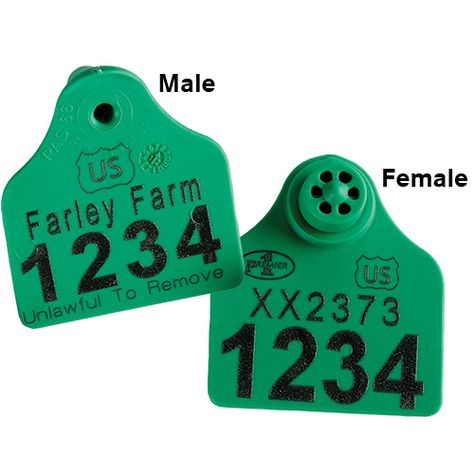 Scrapie Ear Tags Update—October 2017 - Premier1Supplies Sheep Guide Sheep Ears, Goat Care, Magic Flute, Animal Agriculture, Veterinary Services, List Of Animals, Ear Tag, Goat Farming, Metal Tags